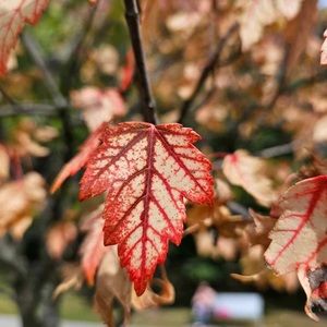 Meet your Posher, Justine